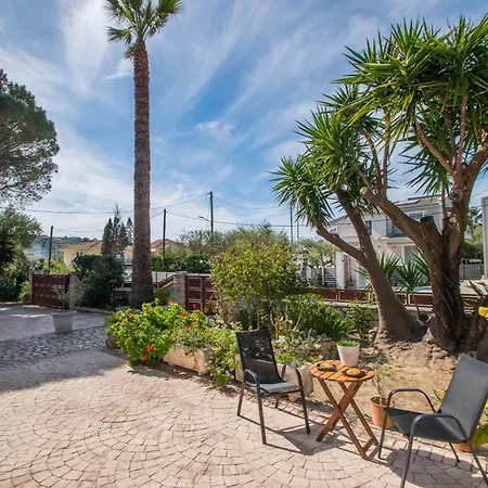 Araucaria Apartment Tsilivi (Zakynthos)