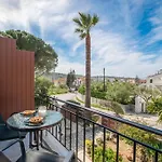 Araucaria - Close To & Zante Town, By Zantewize *