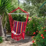 Araucaria - Close To & Zante Town, By Zantewize *
