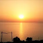 Araucaria - Close To & Zante Town, By Zantewize * Tsilivi (Zakynthos)