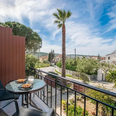 Araucaria - Close To & Zante Town, By Zantewize *