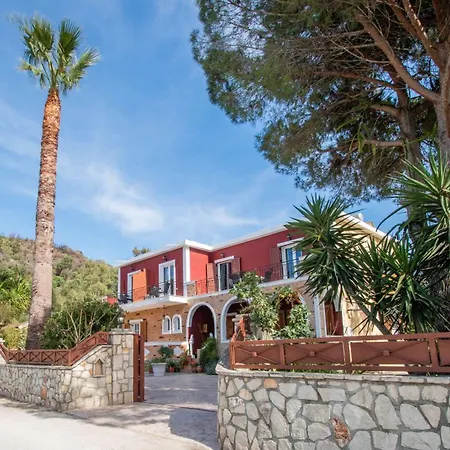 Araucaria - Close To & Zante Town, By Zantewize * Tsilivi (Zakynthos)