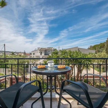 Araucaria - Close To & Zante Town, By Zantewize