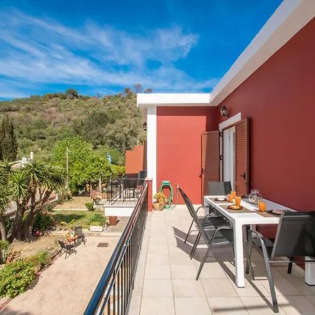 Araucaria - Close To & Zante Town, By Zantewize