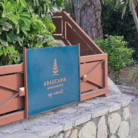 Araucaria - Close To & Zante Town, By Zantewize Tsilivi (Zakynthos)
