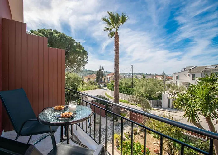 Araucaria - Close To & Zante Town, By Zantewize *
