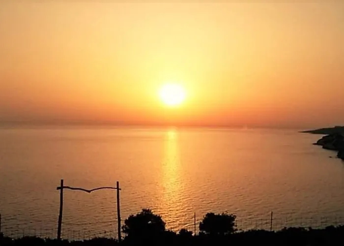 Araucaria - Close To & Zante Town, By Zantewize * تسيليفي