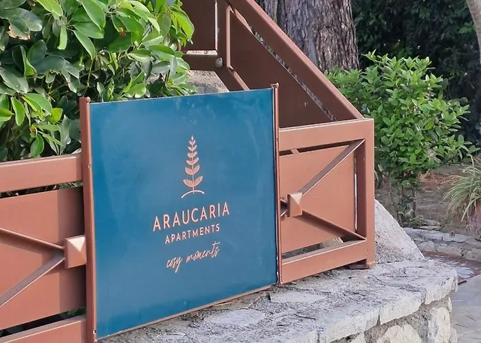 Araucaria - Close To & Zante Town, By Zantewize تسيليفي
